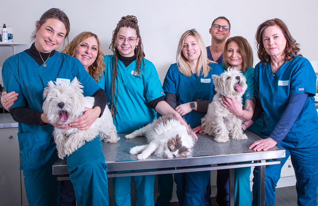 equipe-veterinaire-mirabeau