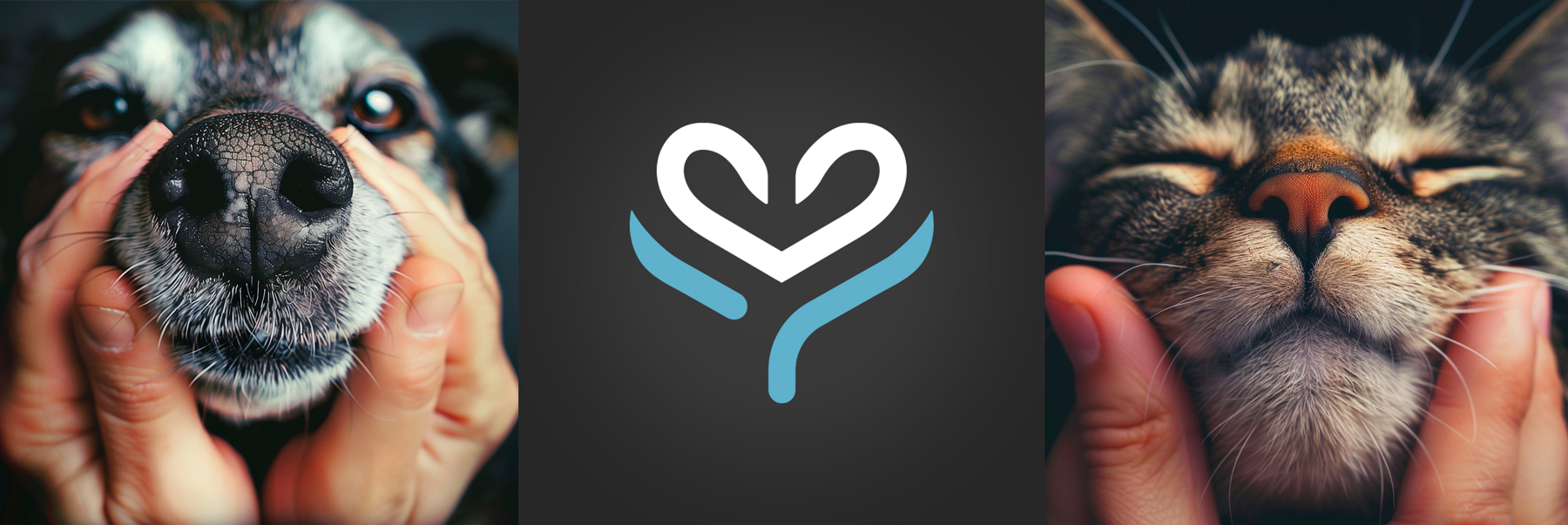 Clinique Vétérinaire Mirabeau - logo