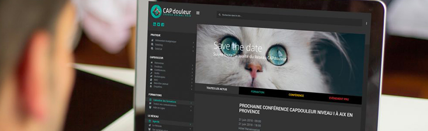 Formation sur l'évaluation et la gestion de la douleur de l'animal