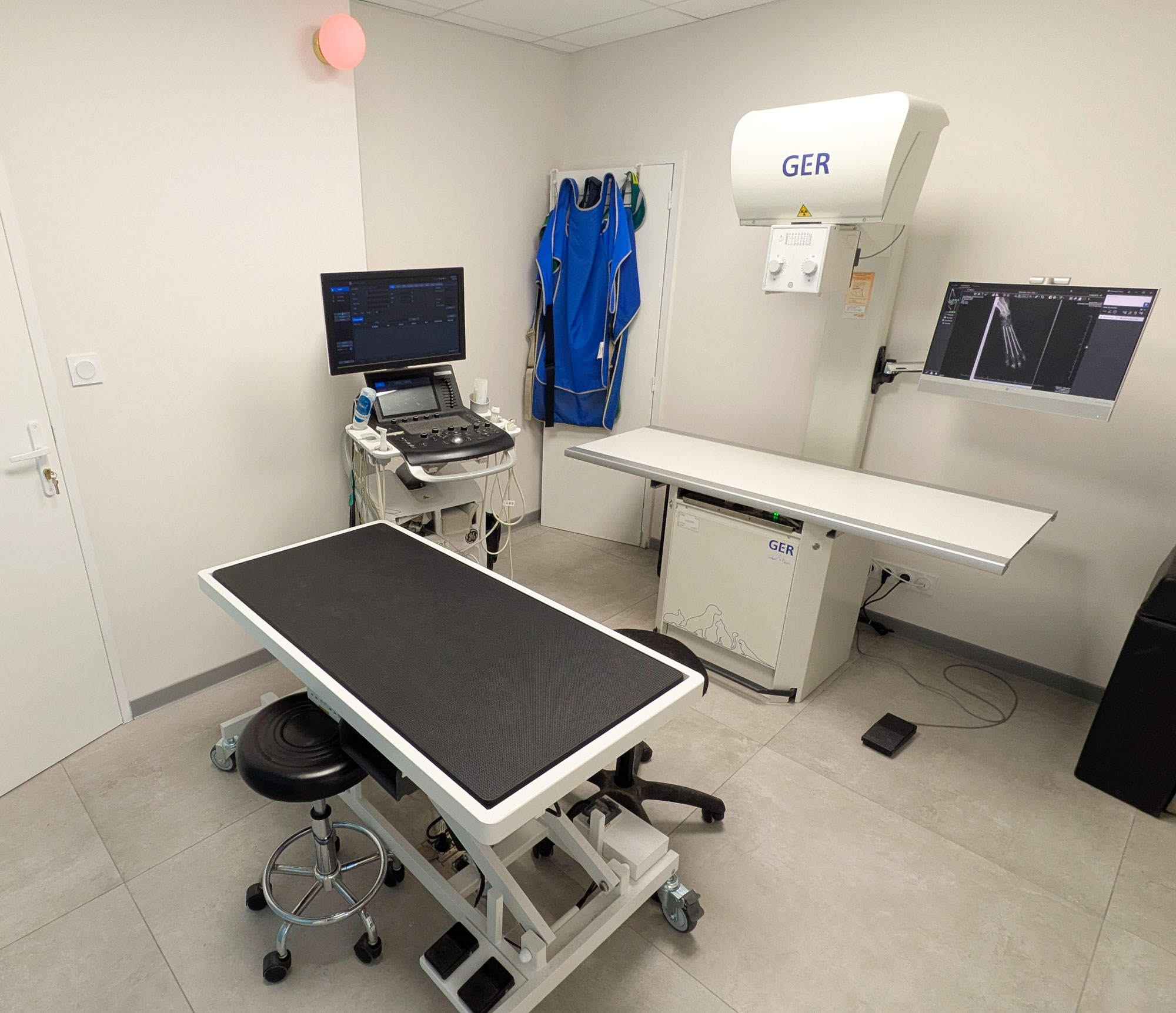 Vétérinaire - radiologie et échographie cardiaque - Vitrolles