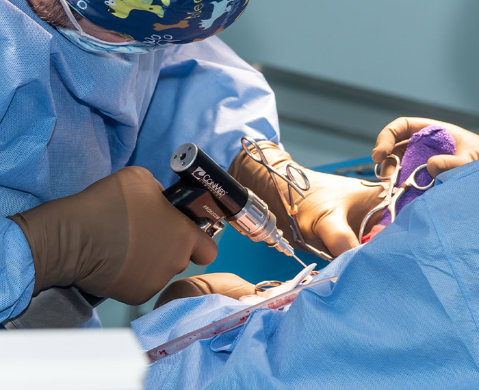 Orthopédie vétérinaire pour fracture chien à Marseille